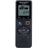 Olympus VN-541PC - 4GB - Schwarz