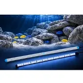 LEDaquaristik GmbH eco+ LED-Leiste AFRICAN-SUN 8000K