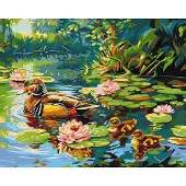 Ideyka Bild: Malen nach Zahlen, 40x50. Vorschlag für einen Rahmen