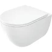 Deante Wand WC Weiß D-Form Tiefspüler spülrandlos mit Softclose Sitz