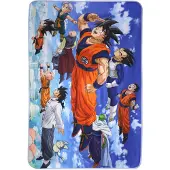 SD Toys Decke 100 x 150 cm Universe Survival Heroes Flight Dragon Ball Super