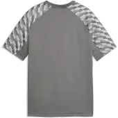 Puma teamLIGA26 Trikot Kids grau, 140 Kinder