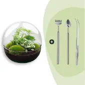 Urbanjngl Flaschengarten - Dome XL - Höhe 30 cm - Harke + Schaufel + Pinzette