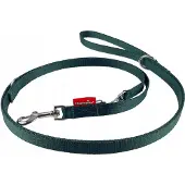 Champion Gurtband Verstellbare Hundeleine Grün 225cm