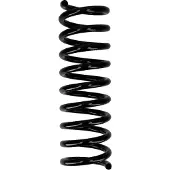 CS Germany Fahrwerksfeder 30110269 Hinterachse