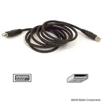 Belkin USB Extension Cable, 6 ft., 1,8 m, 0,48 Gbit/s