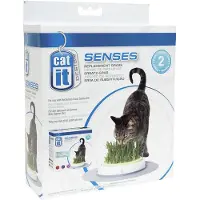 Catit Design Catit Senses Katzengrassamenset - Nachfüllpack - 2 x 70 g