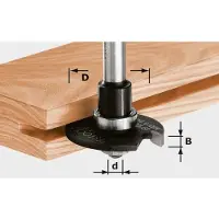 Festool Scheibennutfräser HW HW D40x2 | 491040