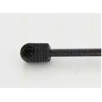 TRISCAN Gasfeder Koffer-/Laderaum Hub 225 mm 540 N für u.a. AUDI A1