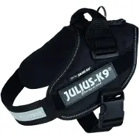 Julius-K9 14841, Hund, Westengeschirr, M-L, Schwarz, Einfarbig, 76 cm