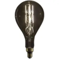 SHOWGEAR LED Filament Bulb PS35