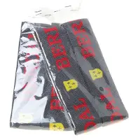 Fento Ersatzriemen für Fento 200 Pro / ORIGINAL (2 Stück im Set)