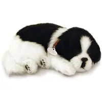 Perfect petzzz - atmender Welpe - Border Collie