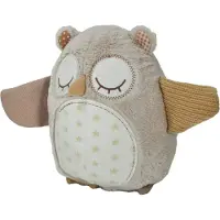 Cloud B Nighty Night Owl Smart Sensor-Haustier mit Melodie- Eule, 0m+