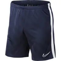 Nike Dry Academy 19 Kurze Hose