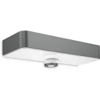 Steinel XSolar SOL-O Sensor, Wandbeleuchtung für den Außenbereich, Anthrazit, Weiß, Kunststoff, IP44, III, IK03