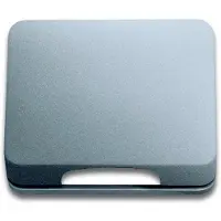 ABB Busch-Jaeger Titan-Abdeckplatte 50x50mm 1746-266-101 - 2CKA001710A3339