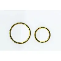 Geberit Sigma21 betjeningsplade til dobbeltskyl - Hvid/Messing