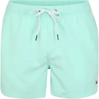 Quiksilver Everyday Volley 15 Shorts Herren türkis