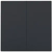Züblin 200-31004 Abdeckung für elektronischen Doppelschalter oder Taster, piano black c 20031004