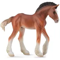 Collecta Źrebię Clydesdale-Bucht 88625