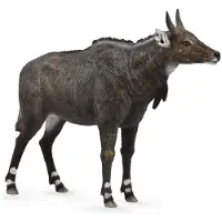 Collecta Nilgai-Antilope L - Tierfigur