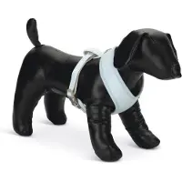 Beeztees Welpe Harno - Hundegeschirr - blau - S