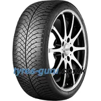 Nankang AW-6 205/60 R15 95H XL Ganzjahresreifen