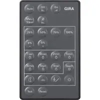 Gira 237300 - Lighting - IR Wireless - Drucktasten - Schwarz