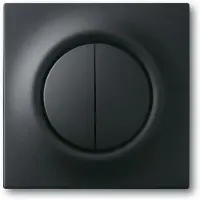 Busch-Jaeger 4011395127711, Schwarz, Kunststoff, konventionell, , Matte, 1 Stück(e)