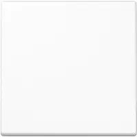 JUNG Steuertaste Standard A 1700 BF WW