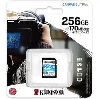 Kingston Technology Canvas Go! Plus 256GB SDXC Canvas Go Plus 170R C10 UHS-I U3 V30, 256 GB, SD, Klasse 10, UHS-I, 170 MB/s, 90 MB/s