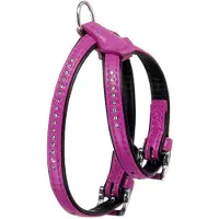 Karlie Monte Carlo Hundegeschirr