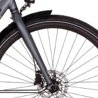 Cortina Bearing Co. Cortina Fork E-Mozzo Titanium Matt