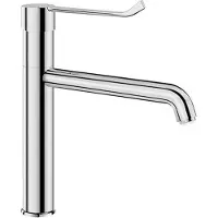 Delabie WT-MBatt. EP Schwenkauslauf hoch H165 L220, Hygienehebel