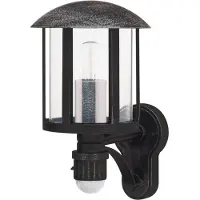 Albert Außenlampe Holli schwarz - silber