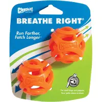 Chuckit! Breathe Right Fetch Ball