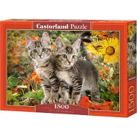 Castorland Kitten Buddies 1500 pcs, 1500 Stück(e), Tiere, 9 Jahr(e)