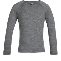Icebreaker 200 Oasis Crew Merino Langarm-t-shirt