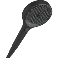 Hansgrohe 26531670 Handbrause Raindance Select S 120
