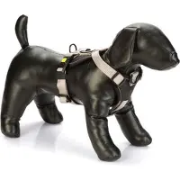 Beeztees Parinca Premium Y-Geschirr - Hundegeschirr - Nylon - hellgrau -
