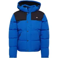 Dickies Mantel Vista al glaciar - Abrigo für Herren