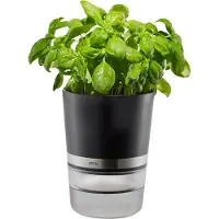 GEFU Herb Maurerkübel