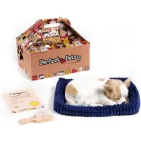 Perfect petzzz Chihuahua 96262