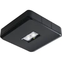 Van Lien Evago Notbeleuchtungsleuchte - 7TCA091160R0455