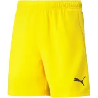Puma Kindershorts Team Rise
