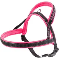 Ferplast Pettorina Cane SPORT DOG, Pettorina Cane Taglia Media, Pettorina Svedes