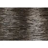 Komar Fototapete "Birkenrinde - Größe 368 x 254 cm" bedruckt glatt Wohnzimmer, Schlafzimmer