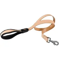 Ferplast Giotto 25 Mm 120 Cm Führleine