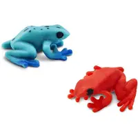 Safari Ltd Giftige Pfeilgiftfrösche Glücks Minis Figur